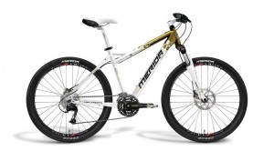 Merida Juliet TFS 100-D gold